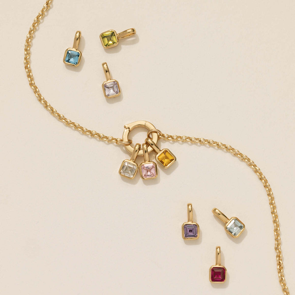 Clip & Charm Delight